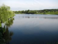 Стецева з panoramio.com