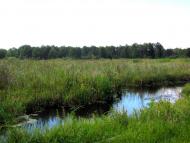 Рудка з panoramio.com