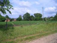 Алтинівка з panoramio.com