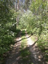 Собичеве з panoramio.com