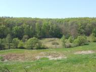 Краснопілля з panoramio.com