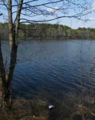 Линея з panoramio.com