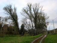 Загірське з panoramio.com