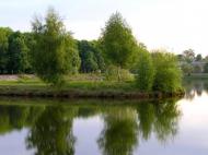 Володимирець з panoramio.com