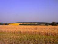 Травневе з panoramio.com