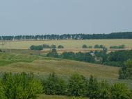 Сніжки з panoramio.com