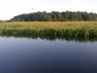 Григорівка з panoramio.com