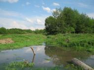 Олександрівка з panoramio.com