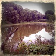 Мале з panoramio.com