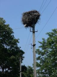 Копіювата з panoramio.com