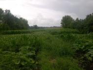 Землянка з panoramio.com