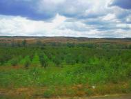 Стальне з panoramio.com