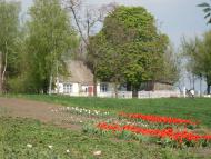 Гурівці з panoramio.com