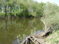 Білий Берег - Останні фото