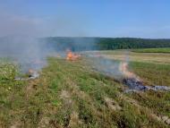 Нараїв з panoramio.com