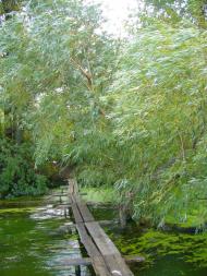 Михайлівка з panoramio.com