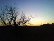 Ясенівський з panoramio.com - Ясенівський