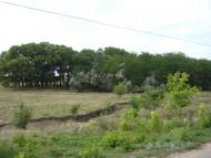 Нові Каплани з panoramio.com