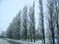 Серкізів з panoramio.com