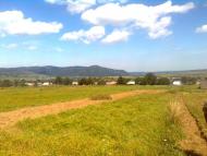 Пшеничники з panoramio.com