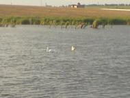 Сухий Лиман з panoramio.com