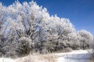Червоний Донець з panoramio.com - Chervonyy Donets