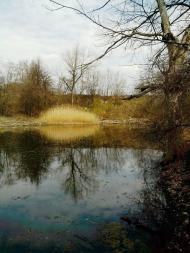 Лисичанський з panoramio.com