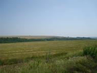 Ленківці з panoramio.com