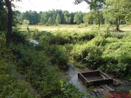 Пиротчине з panoramio.com