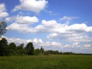 Веснянка з panoramio.com