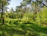 Балахівка з panoramio.com