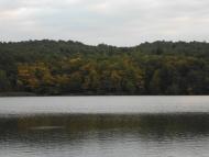 Доброгостів з panoramio.com