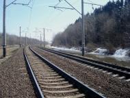 Коричинці з panoramio.com