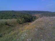 Розсохи з panoramio.com