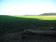 Бужок з panoramio.com