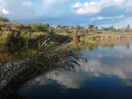 Кам'яне з panoramio.com