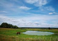 Боровичі з panoramio.com