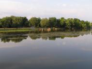 Саврань з panoramio.com