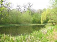 Рудки з panoramio.com