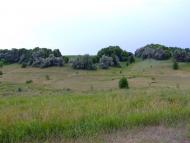 Мале з panoramio.com