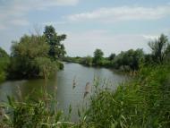 Лиманське з panoramio.com