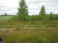 Сошники з panoramio.com