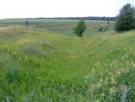 Мале з panoramio.com