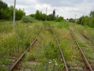 Калинове-Борщувате з panoramio.com