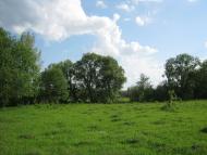 Олександрівка з panoramio.com