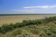 Куликівське з panoramio.com - Куликовское