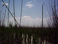 Комишівка з panoramio.com