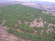Городище з panoramio.com