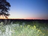 Козацьке з panoramio.com