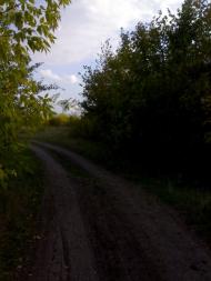 Виноградар з panoramio.com